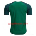 Cameroun Fodboldtrøjer Hjemmebanesæt Kvindernes VM 2019 Kort ærmer